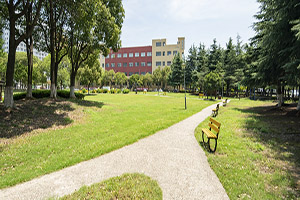 河北艺术职业学院2025年单招简章