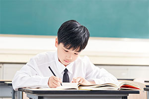 2025年新疆语文试卷真题及参考答案详解含作文范文