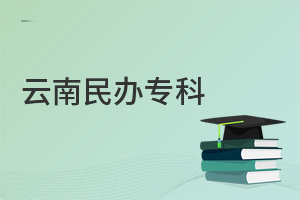 云南民办专科
