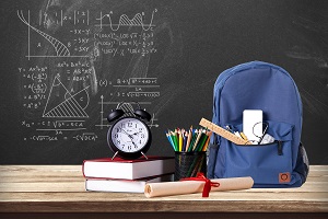 北京外国语大学国际课程中心课程体系