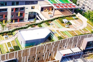 北京乐成国际学校录取分数线