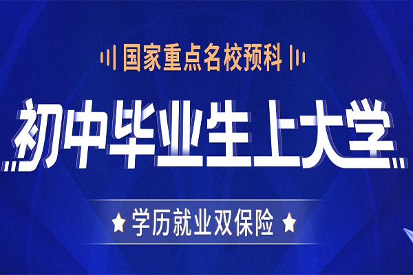 初中生上大学