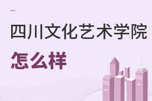 四川文化艺术学院怎么样