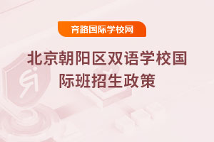 2025年北京朝阳区双语学校国际班招生政策