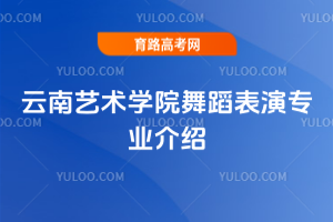 云南艺术学院舞蹈表演专业介绍