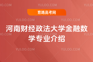 河南财经政法大学金融数学专业介绍