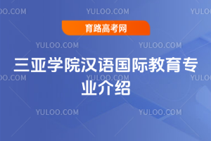 三亚学院汉语国际教育专业介绍