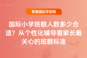国际小学班额人数多少合适？从个性化辅导看家长最关心的班额标准