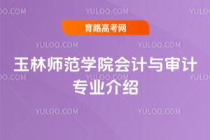 玉林师范学院会计与审计专业介绍