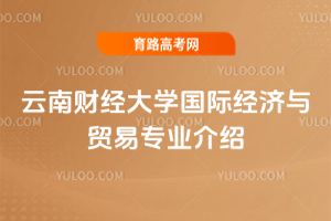 云南财经大学国际经济与贸易专业介绍