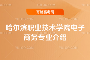 哈尔滨职业技术学院电子商务专业介绍