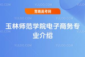 玉林师范学院电子商务专业介绍