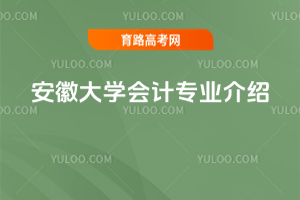 安徽大学会计专业介绍