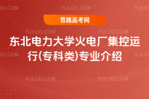 东北电力大学火电厂集控运行(专科类)专业介绍
