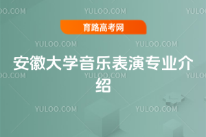 安徽大学音乐表演专业介绍