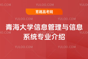 青海大学信息管理与信息系统专业介绍