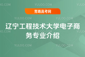 辽宁工程技术大学电子商务专业介绍