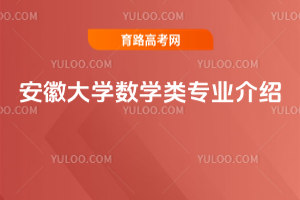 安徽大学数学类专业介绍