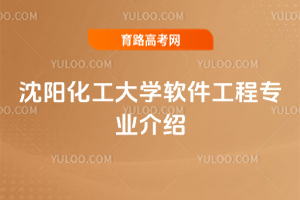 沈阳化工大学软件工程专业介绍