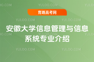 安徽大学信息管理与信息系统专业介绍