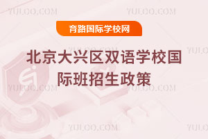 2025年北京大兴区双语学校国际班招生政策
