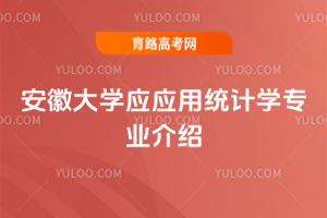 安徽大学应应用统计学专业介绍