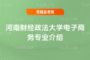河南财经政法大学电子商务专业介绍