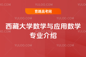 西藏大学数学与应用数学专业介绍