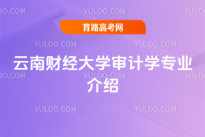 云南财经大学审计学专业介绍