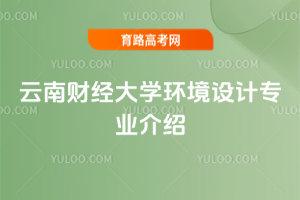 云南财经大学环境设计专业介绍