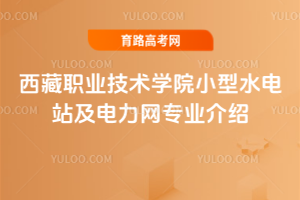 西藏职业技术学院小型水电站及电力网专业介绍
