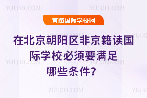 在北京朝阳区非京籍读国际学校必须要满足哪些条件？