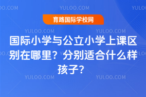 国际小学与公立小学上课区别在哪里？分别适合什么样孩子？