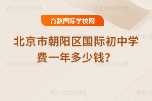 北京市朝阳区国际初中学费一年多少钱？