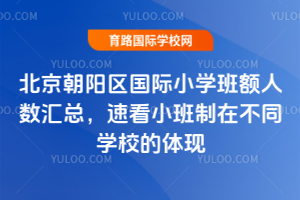 北京朝阳区国际小学班额人数汇总，速看小班制在不同学校的体现