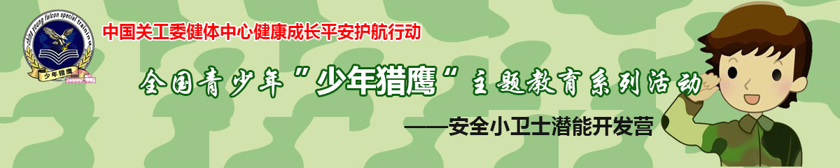 少年猎鹰冬令营
